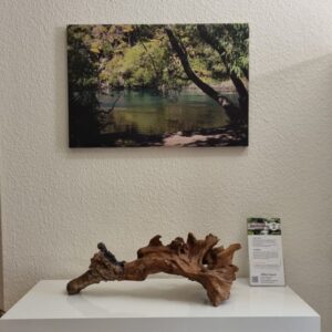 Beratung wurzel mit bild